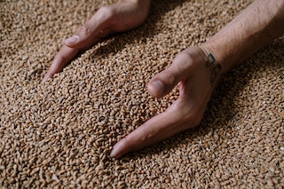 We protect your grain's essential nutrients during the drying process