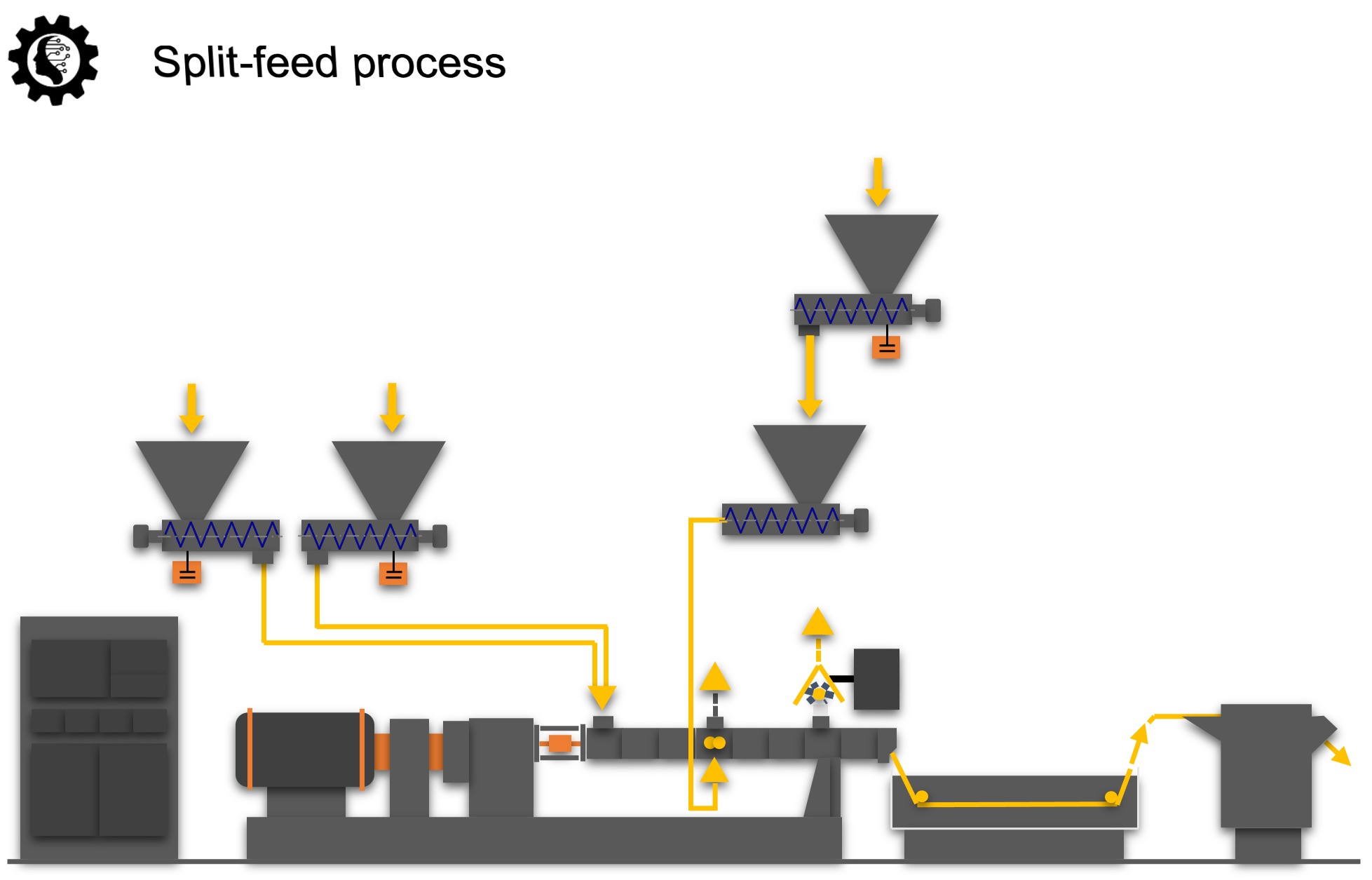 Weighing and feeding system